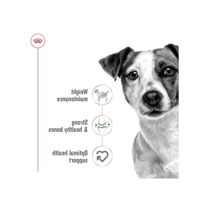 Mini Irk Yetişkin Köpekler İçin 4 Kg Kuru Mama, Besleyici Formül