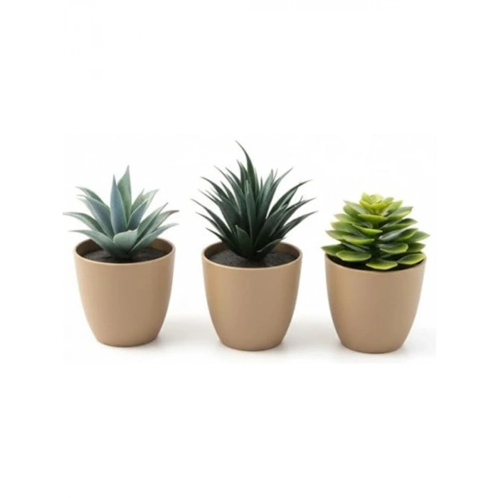 Mini Yapay Sukulent Seti, 8 cm Saksı ile Dekoratif Bitki Tasarımı