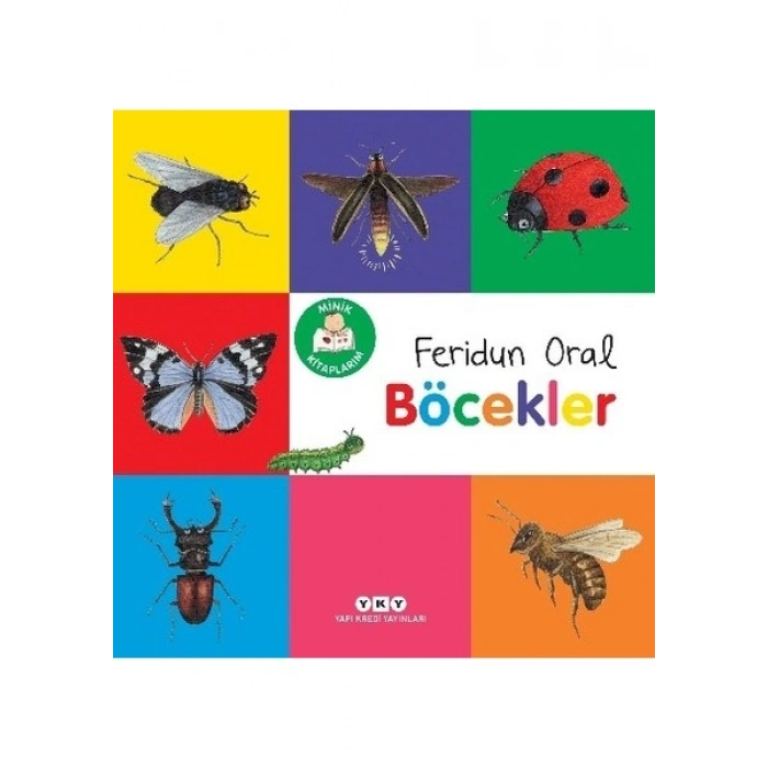 Minik Kitaplarım - Böcekler - Feridun Oral