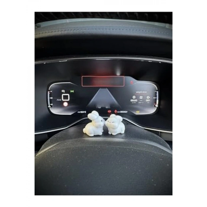 Minik Tavşan Çift Araba Süsü, Sevgiliye Hediye Alternatifi