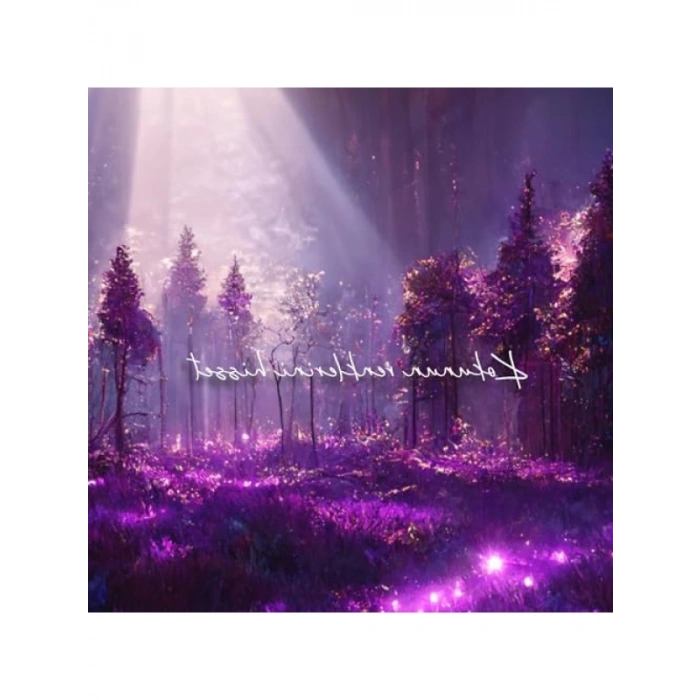 Mistik Koku Yayılımı Oda Kokusu - 100 ml