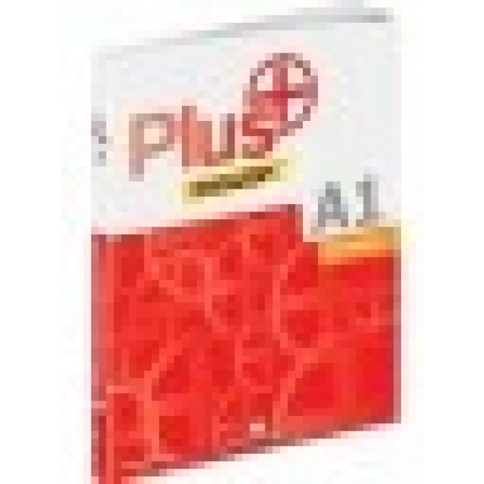 MK Publications Plus A1 İngilizce Gramer - Michael Wolfgang