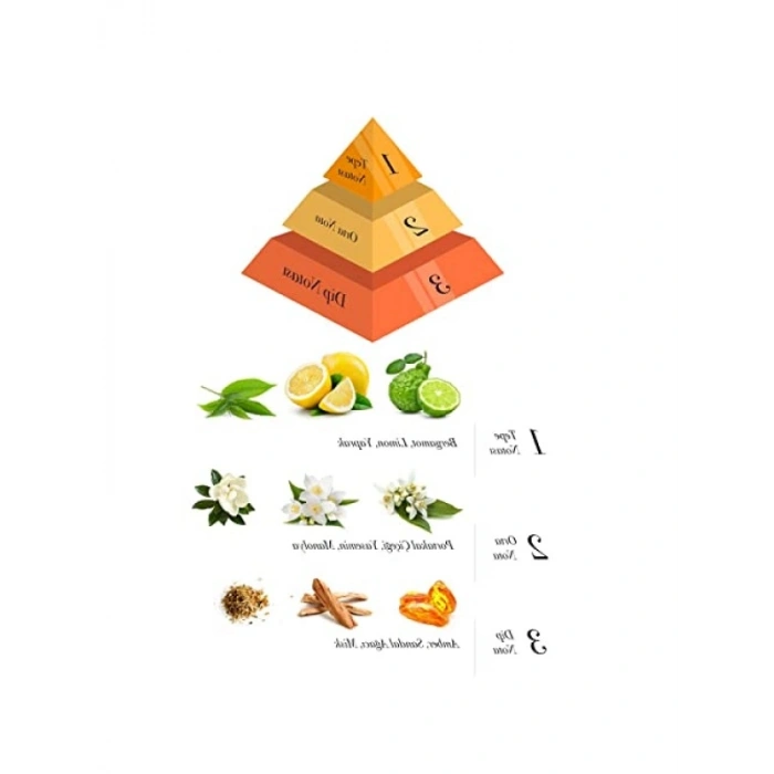 Modern Bambu Çubuklu Oda Kokusu 100 ml