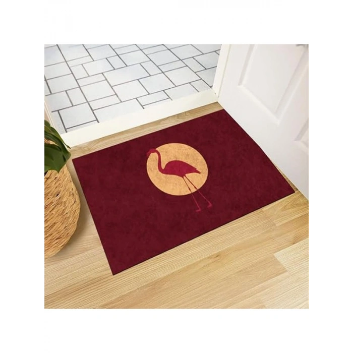 Modern Kapı Önü Paspası, 40x60 cm Ölçüsünde