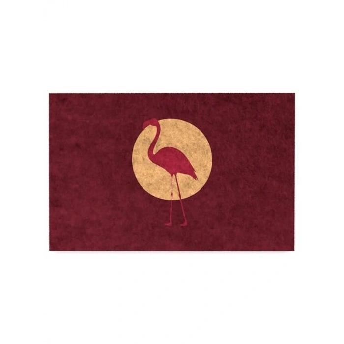 Modern Kapı Önü Paspası, 40x60 cm Ölçüsünde