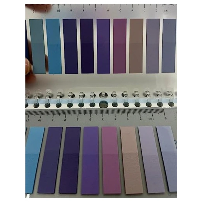 Mor ve Mavi Tonlarında 10 Renkli Cetvelli Şeffaf İndeks Sticker