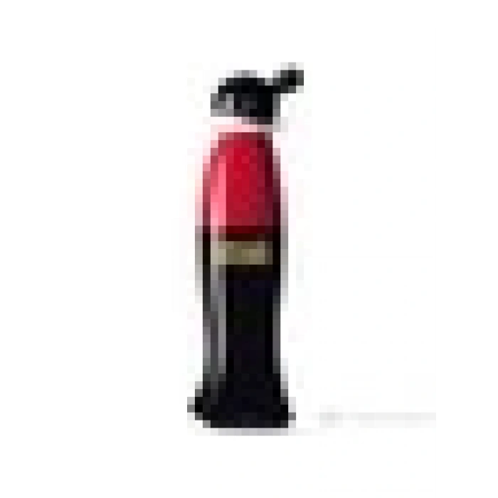Moschino Cheap And Chic Edt 100 Ml Kadın Parfüm
