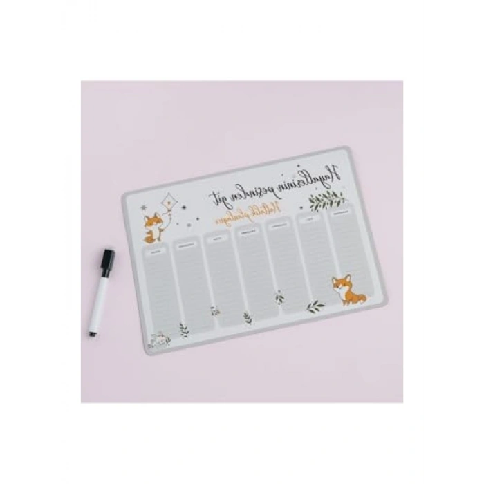 Motivasyonel Magnet Planlayıcı