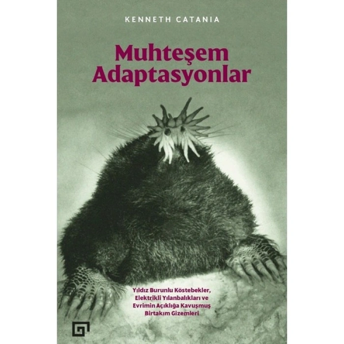 Muhteşem Adaptasyonlar - Kenneth Catania