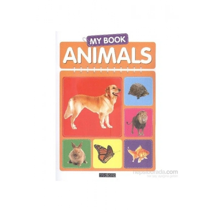 My Book Animals