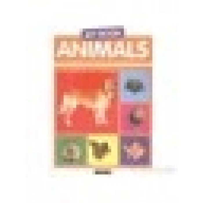 My Book Animals