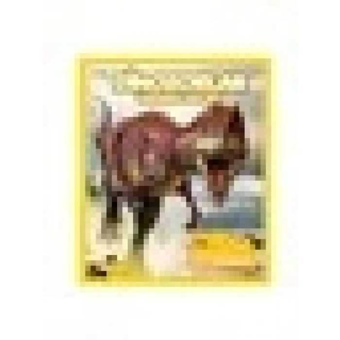 National Geographic Kids - Dinazorlar Hakkında Her Şey-Paul Sereno