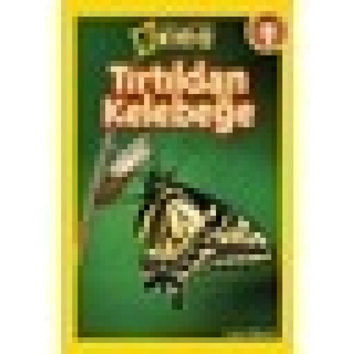 National Geographic Kids - Tırtıldan Kelebeğe - Laura Marsh