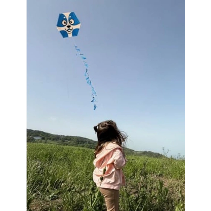 Naylon Altıgen Uçurtma, Eğlenceli Tasarım