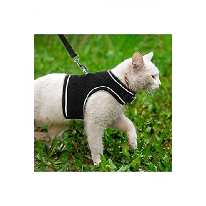 Nefes Alabilen Konforlu Kedi Göğüs Tasması Seti (Medium, Siyah)