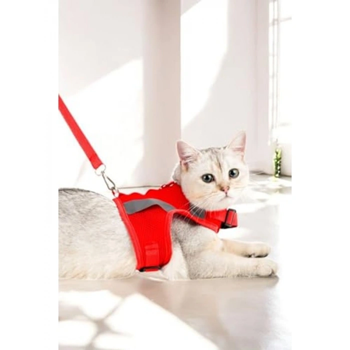 Nefes Alan Reflektörlü Kedi Tasması Seti, Kırmızı Renk
