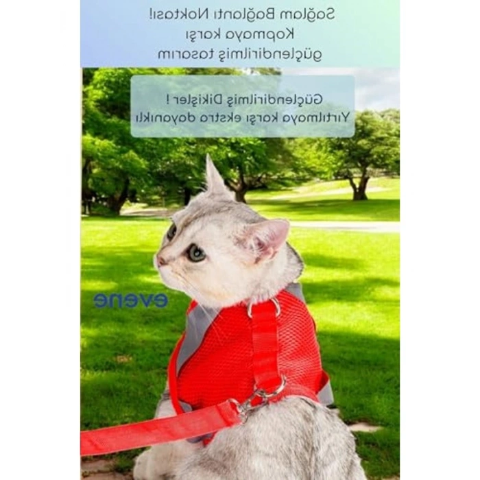 Nefes Alan Reflektörlü Kedi Tasması Seti, Kırmızı Renk