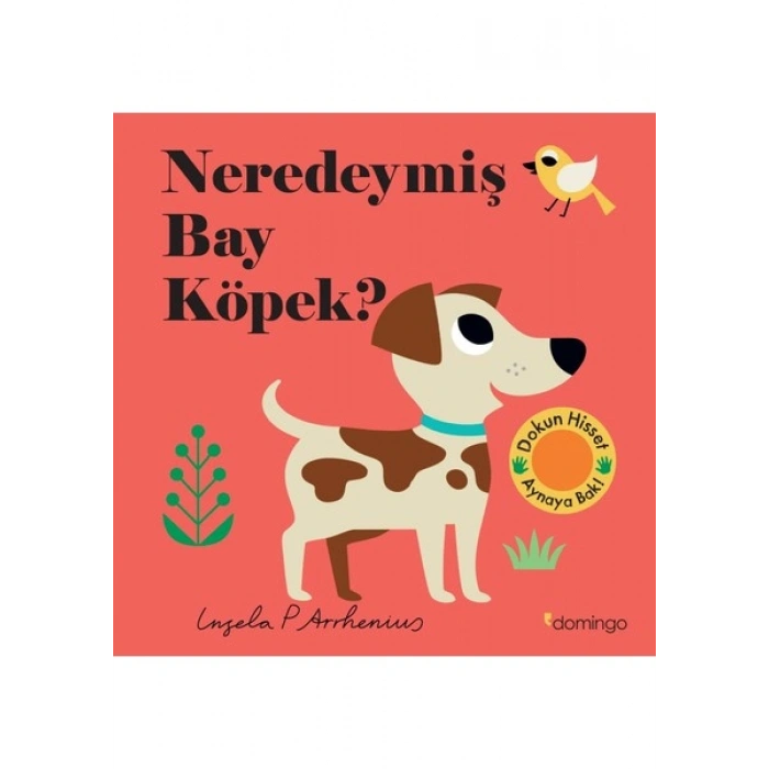 Neredeymiş Bay Köpek? Dokun, Hisset, Aynaya Bak!