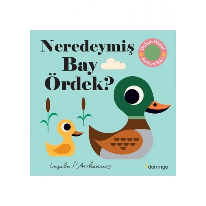 Neredeymiş Bay Ördek? Dokun, Hisset, Aynaya Bak!