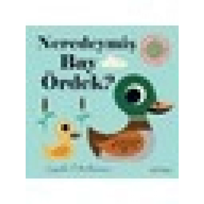 Neredeymiş Bay Ördek? Dokun, Hisset, Aynaya Bak!