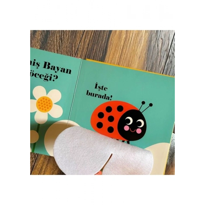 Neredeymiş Bayan Uğur Böceği? Dokun, Hisset, Aynaya Bak!