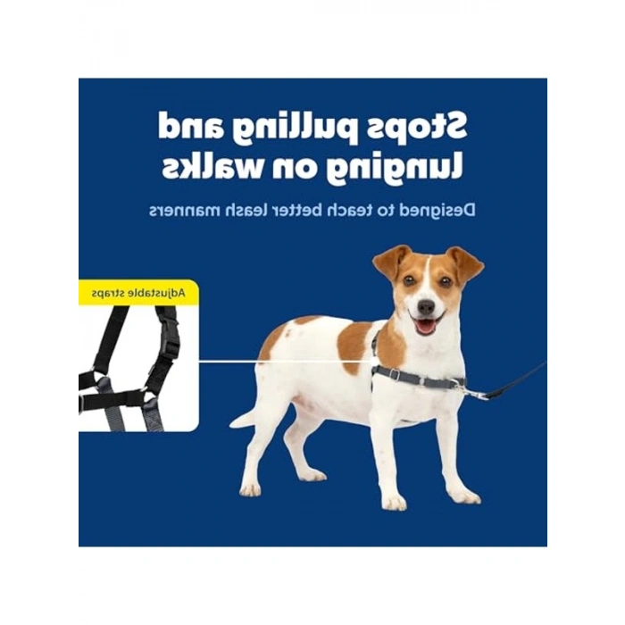No-pull köpek koşum takımı, yürüyüşlerde kontrol sağlar