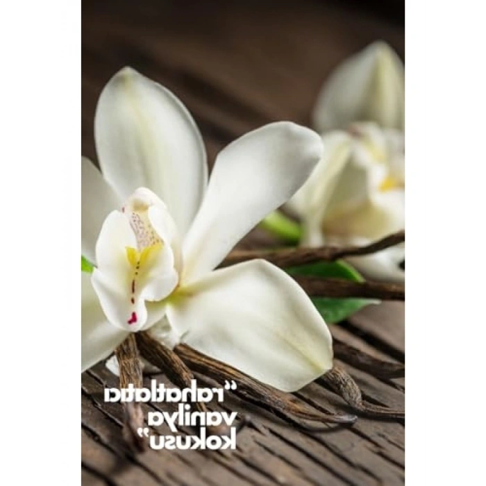 Oda Kokusu Yedek Sprey - 250 ml Vanilya Aroması