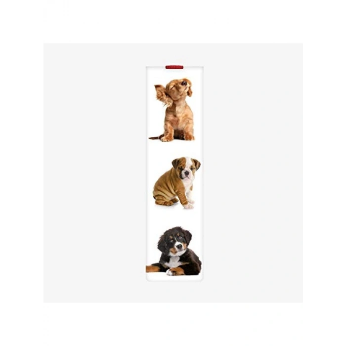 Öğrenme Sürecine Yardımcı Tasarım - Dogs Kitabı