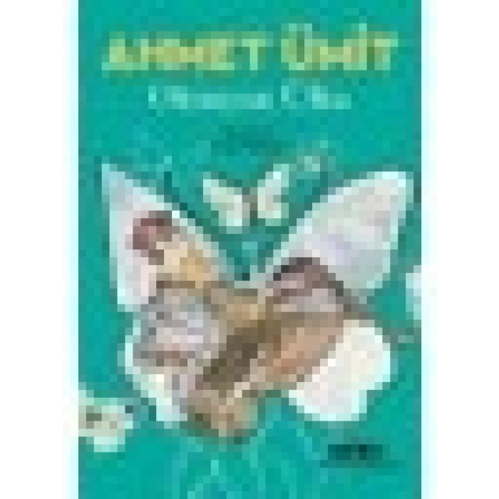 Olmayan Ülke 2.Baskı - Ahmet Ümit