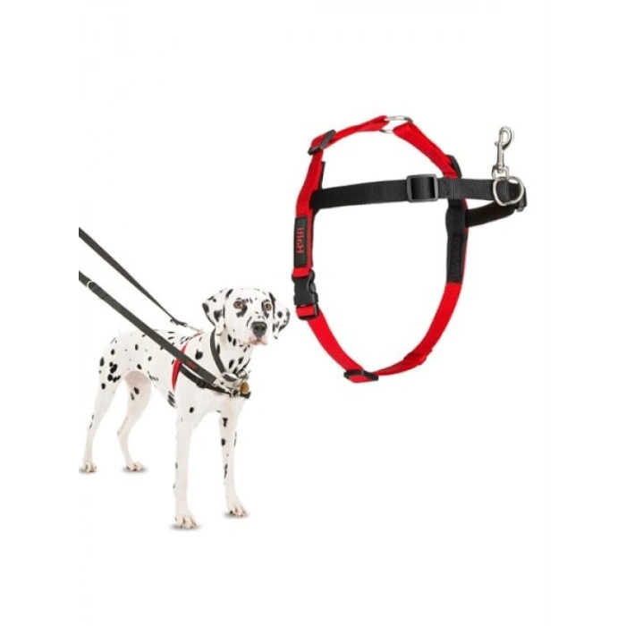 Önden Kontrollü Orta Boy Göğüs Tasması