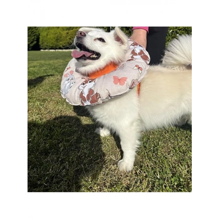 Operasyon Sonrası Kedi Boyunluk, Turuncu Tavşan Desenli, Orta Boy
