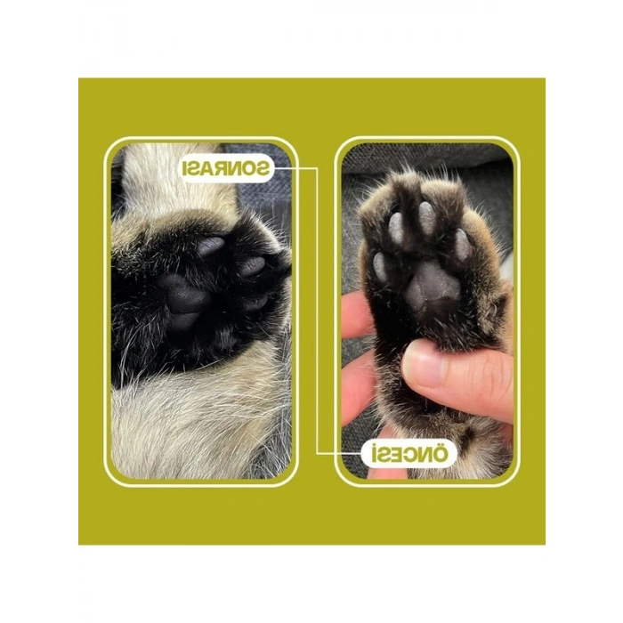 Organik Kedi Kumu, Topaklanan Özellik, 21 Lt, Doğa Dostu