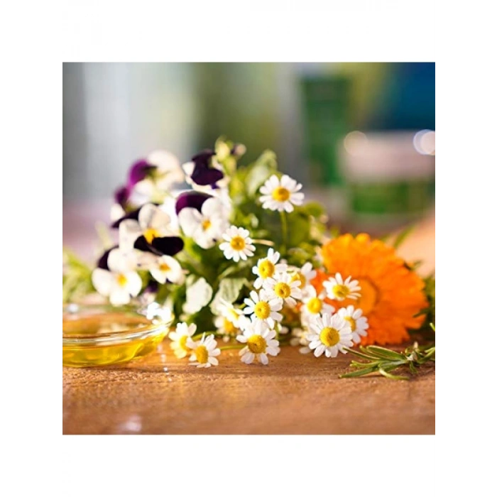 Organik Vücut Bakım Kremi 150 ml