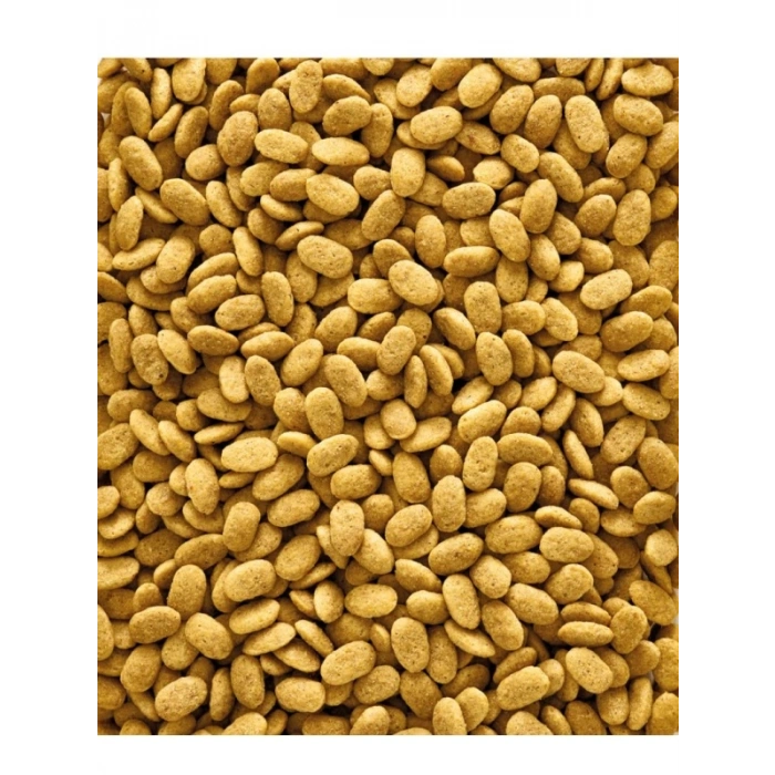 Orijinal Papağan Pelet Yem, 1 kg