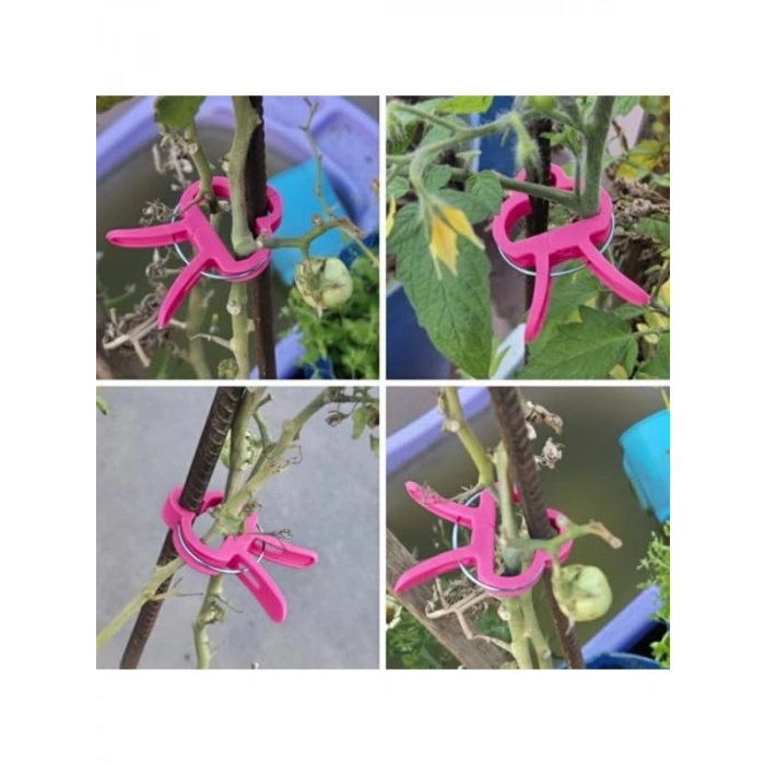 Orta Boy Bitki Bağlama Mandalı, 10 Adet Pembe Renkli