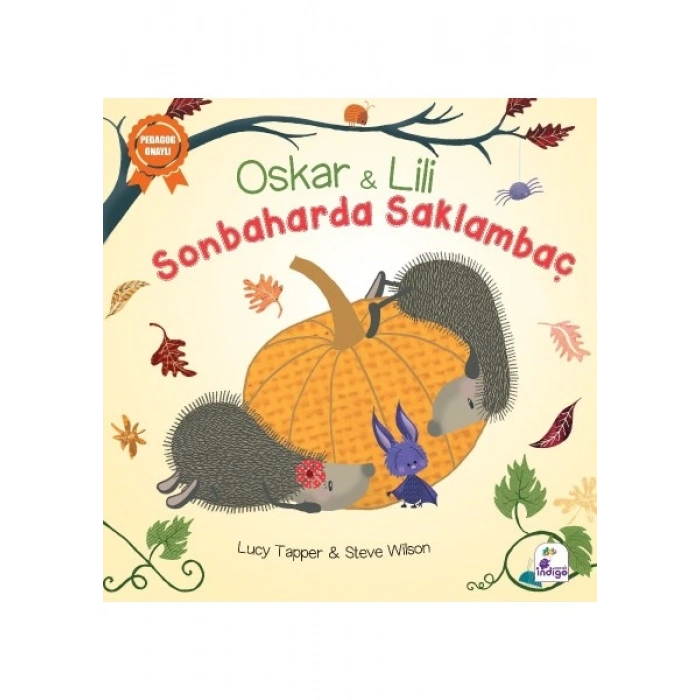 Oskar Ve Lili – Sonbaharda Saklambaç - Lucy Tapper - Steve Wilson