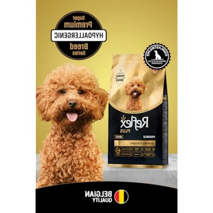 Özel Formül Poodle Yetişkin Köpek Maması 2 Kg