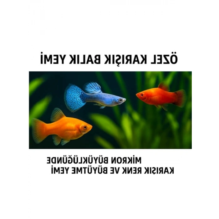 Özel Karışık Balık Yemi - 100 g, Mikro Granül & Toz