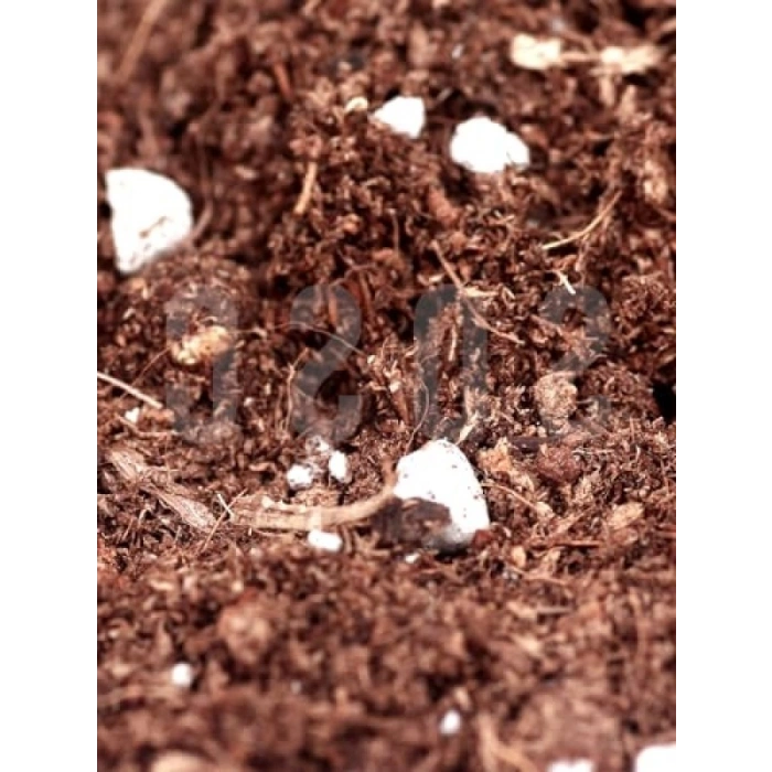 Özel Karışım Saksı Harcı, 10 LT Torf Cocopeat ve Perlit