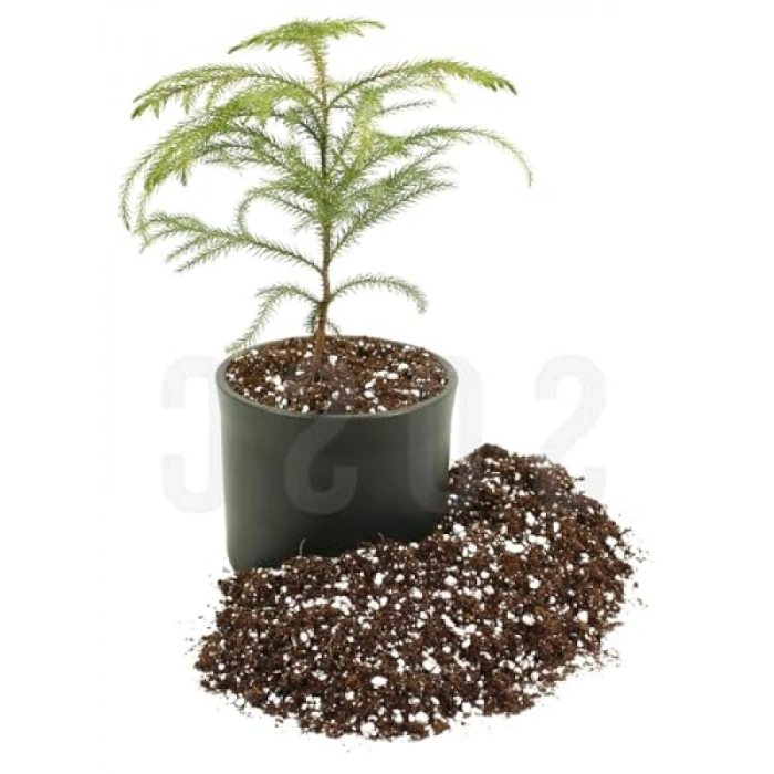 Özel Karışım Saksı Harcı, 3 LT - Sphangum Torfu, Cocopeat ve Perlit