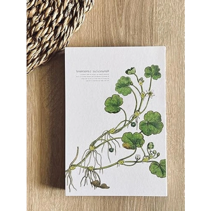 Özel Tasarım A5 Çizgili Not Defteri, Dikişli Sırt ve 180 Derece Açılabilir