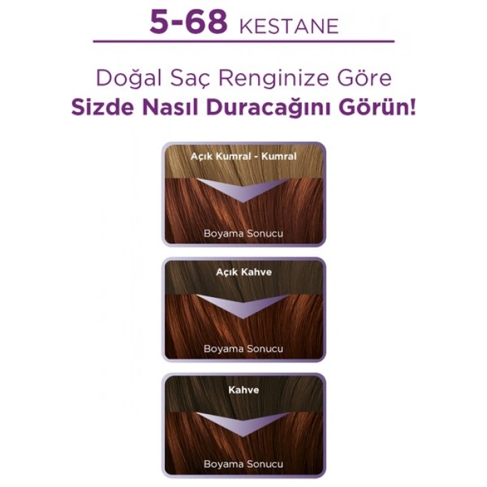 Palette Saç Boyası 5-68 Kestane Saç Boyası
