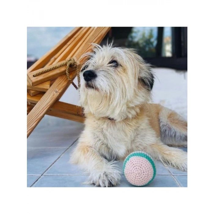 Pamuklu Doğa Dostu Pofuduk Top Köpek ve Kedi Oyuncağı