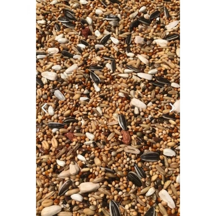 Papağan Yemi 10 Kg, Karışık Formül Toptan Satış