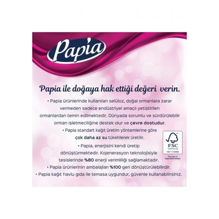 Papia Kağıt Havlu 12 Rulo