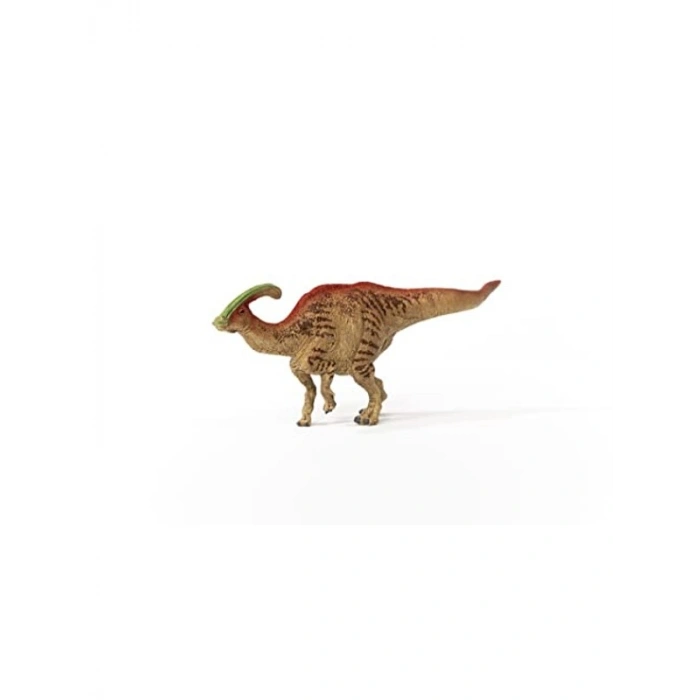 Parazorolopus