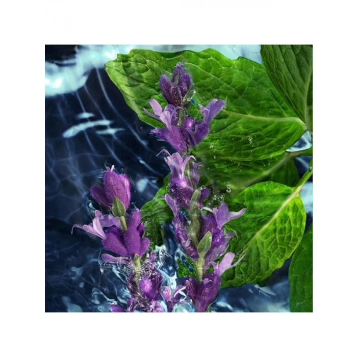 Parfümlü Tıraş Sonrası Losyon - 125 ml