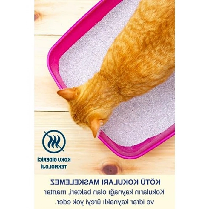 Parfümsüz Yüzey Temizleyici - Etkili Dezenfektan 5L