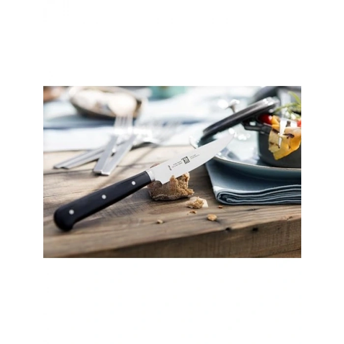 Paslanmaz Çelik 4lü Tırtıklı Biftek Bıçağı Seti