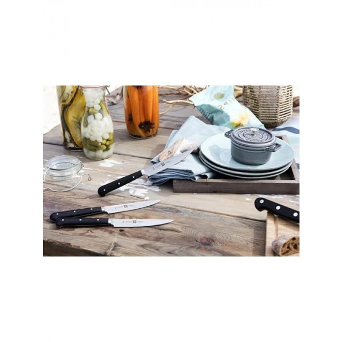 Paslanmaz Çelik 4lü Tırtıklı Biftek Bıçağı Seti